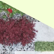 Projekt geometrycznej rabaty ogrodowej muśniętej czerwienią