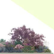 Projekt rabaty na miejsca suche i słoneczne w odcieniach fioletu